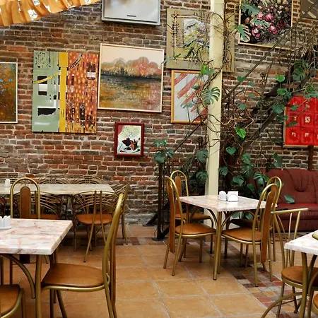 Irena Lviv